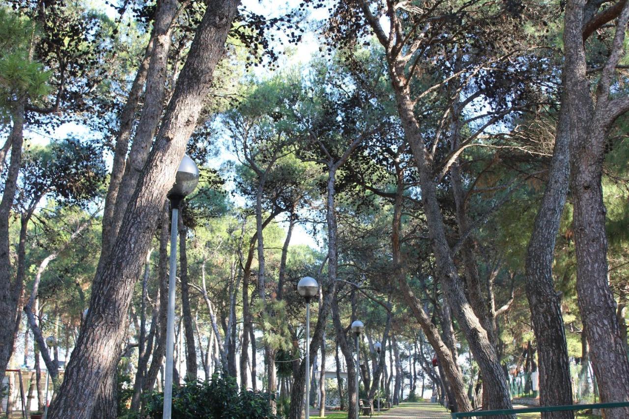Bed and Breakfast La Pigna Ruvo di Puglia Exterior foto