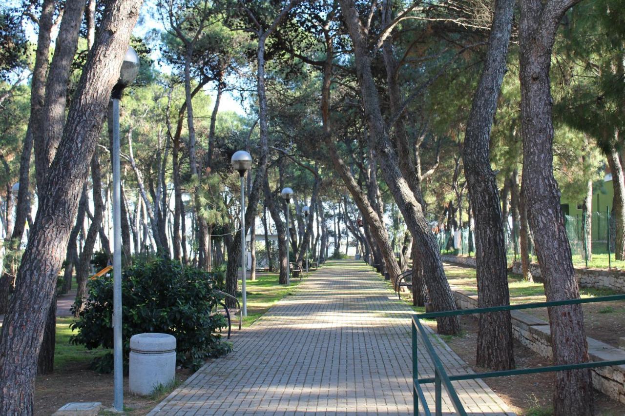 Bed and Breakfast La Pigna Ruvo di Puglia Exterior foto